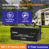 12V 300Ah Core Series Deep Cycle Lithium Iron Phosphate Battery w/Self-Heating