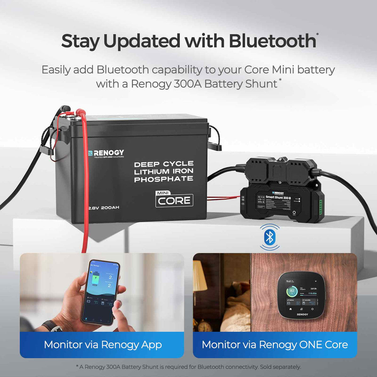 5,12 kWh-stroomsysteem voor caravans | 3000W-omvormer, 200Ah Lithium Battery x2