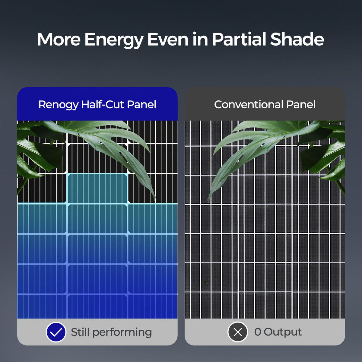 Bifacial 115 Watt 12 Volt Monocrystalline Solar Panel